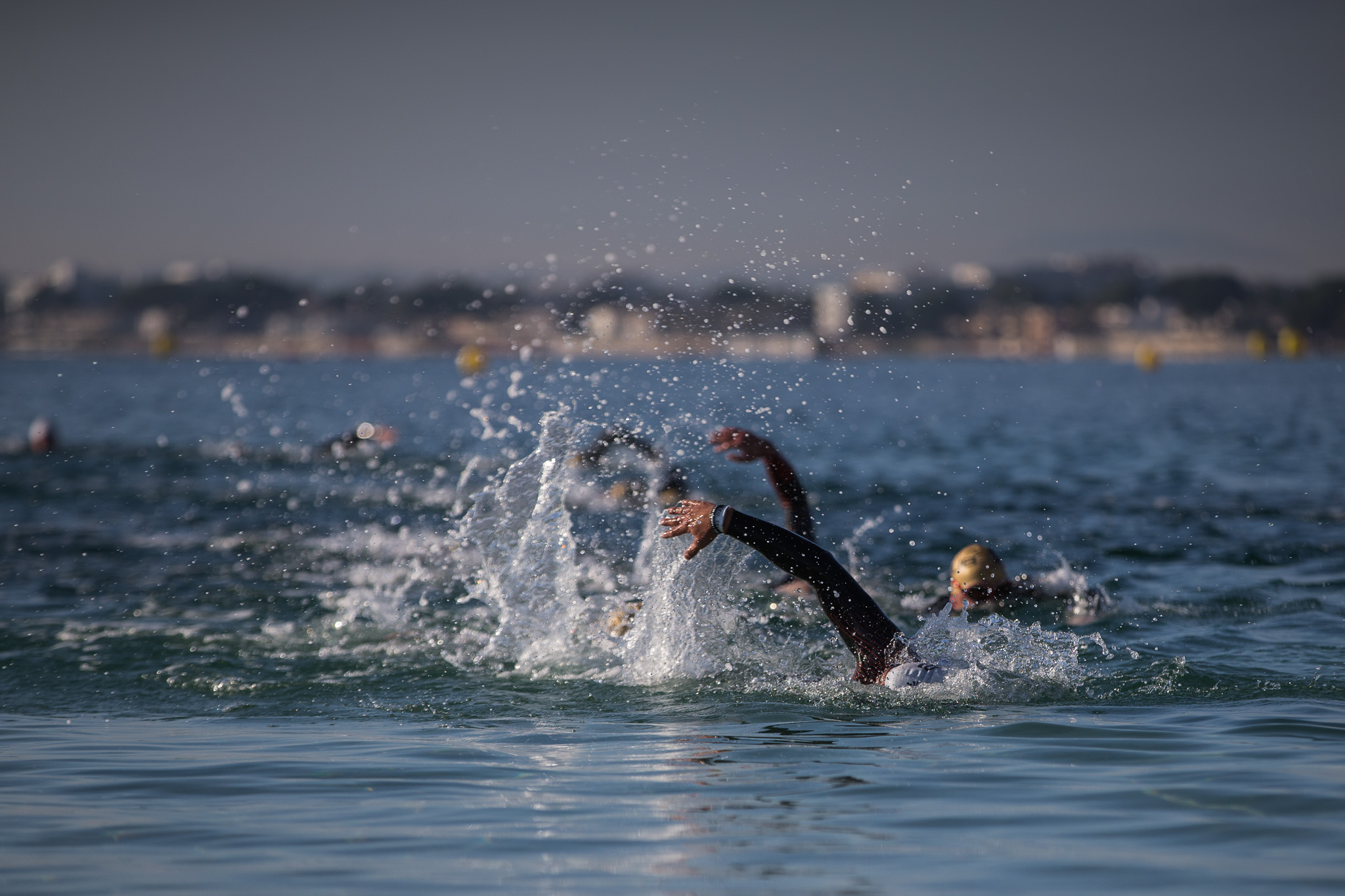 MALLORCA SWIM